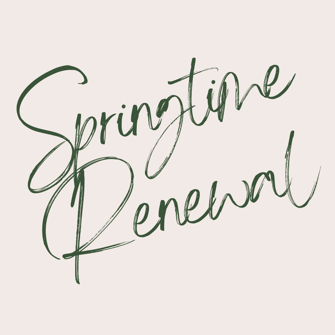 Springtime Renewal: Half Day Retreat